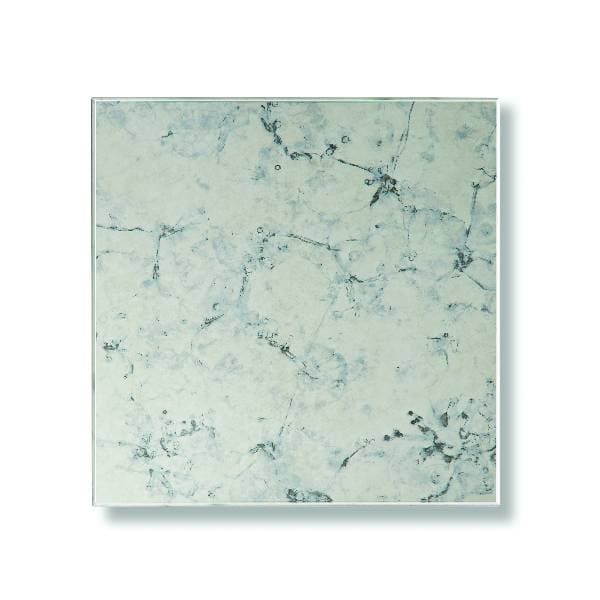 83 - GREY VEIN - Grey Vein